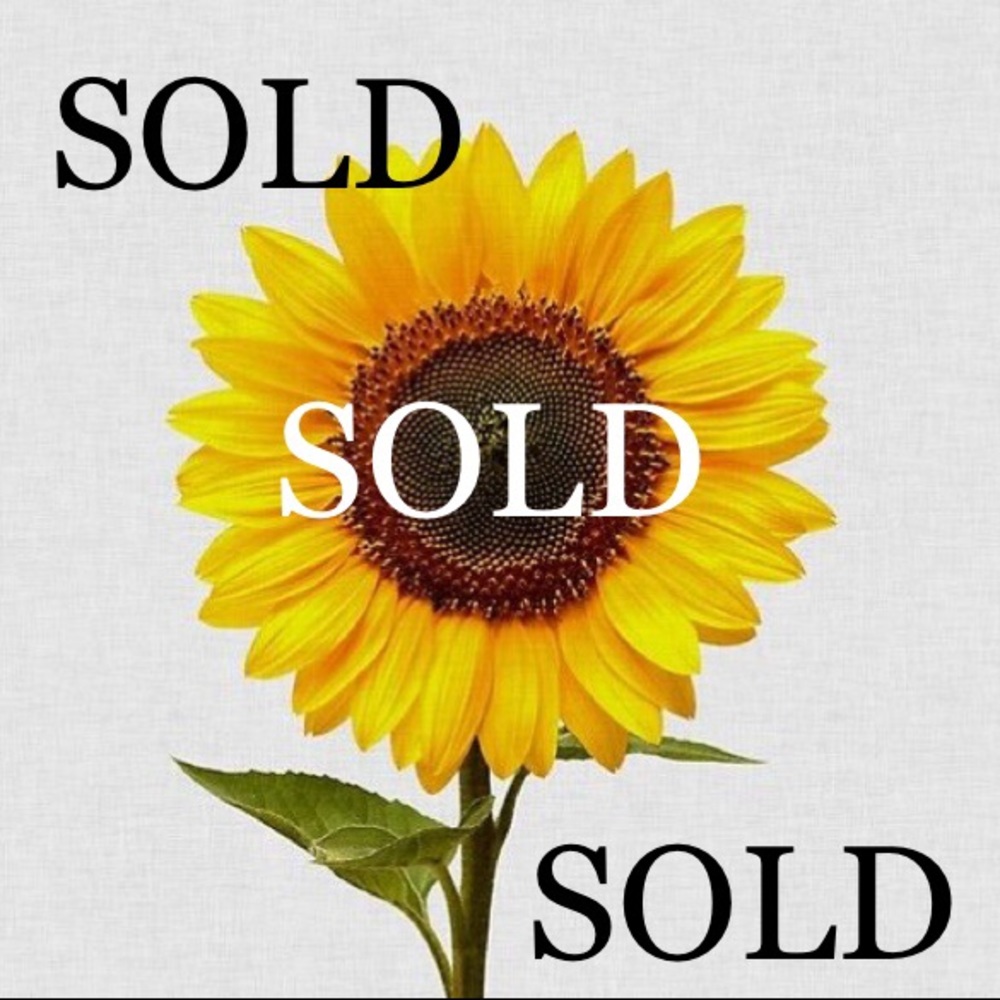 🌻🌻